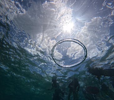 西表島 ADVENTURE PiPi（アドベンチャーピピ）に投稿された画像（2024/7/21）