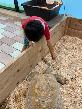 いきもの探検隊湘南に投稿された画像（2024/7/21）