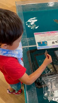 いきもの探検隊湘南に投稿された画像（2024/7/21）