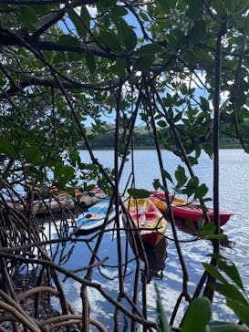 西表島 ADVENTURE PiPi（アドベンチャーピピ）に投稿された画像（2024/7/21）