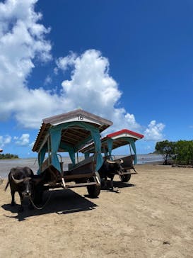 西表島 ADVENTURE PiPi（アドベンチャーピピ）に投稿された画像（2024/7/21）