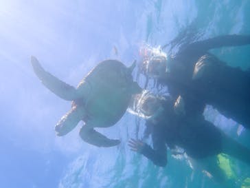 nico 宮古島に投稿された画像（2024/7/21）