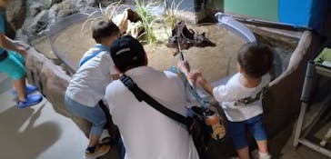 伊豆・三津シーパラダイスに投稿された画像（2024/7/21）