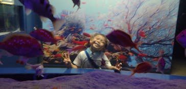 伊豆・三津シーパラダイスに投稿された画像（2024/7/21）