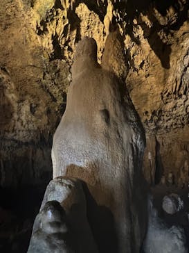 石垣島鍾乳洞に投稿された画像（2024/7/21）