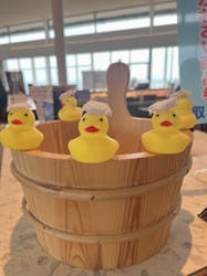 アクアイグニス淡路島に投稿された画像（2024/7/21）