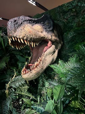 タッチ ザ ダイナソー ～恐竜アドベンチャー展～に投稿された画像（2024/7/21）