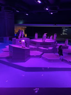 AOAO SAPPOROに投稿された画像（2024/7/21）