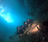 武藤潜水に投稿された画像（2024/7/21）