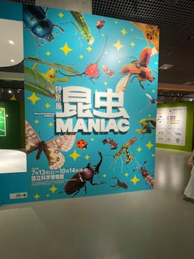 特別展「昆虫 MANIAC」（国立科学博物館）に投稿された画像（2024/7/21）