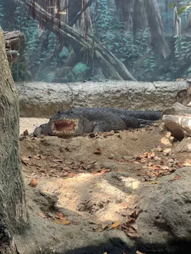 天王寺動物園に投稿された画像（2024/7/21）