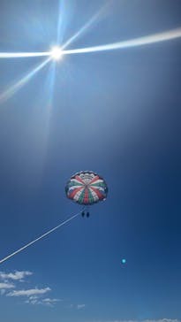 Sea World（シーワールド）に投稿された画像（2024/7/21）