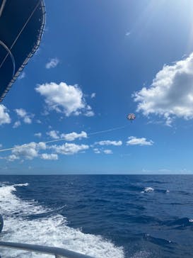 Sea World（シーワールド）に投稿された画像（2024/7/21）