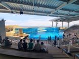 新江ノ島水族館に投稿された画像（2024/7/21）
