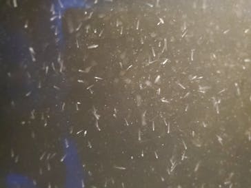 新江ノ島水族館に投稿された画像（2024/7/21）