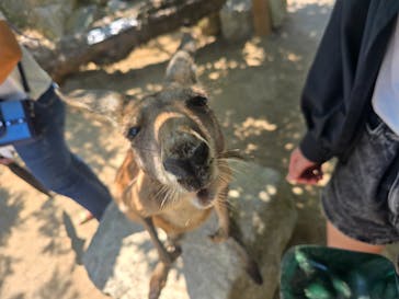 神戸どうぶつ王国に投稿された画像（2024/7/21）