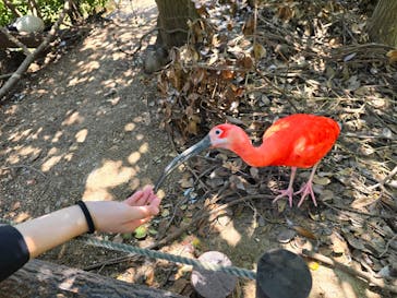神戸どうぶつ王国に投稿された画像（2024/7/21）