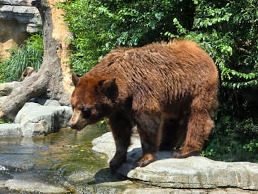 神戸どうぶつ王国に投稿された画像（2024/7/21）