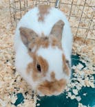 いきもの探検隊上尾に投稿された画像（2024/7/21）