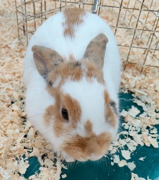 いきもの探検隊上尾に投稿された画像（2024/7/21）