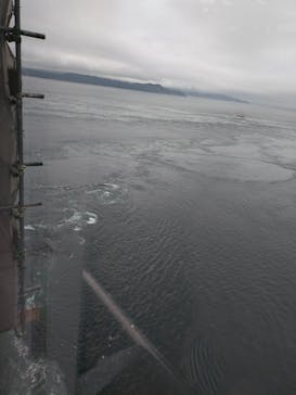 徳島県立 渦の道に投稿された画像（2024/7/21）