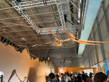 巨大恐竜展2024に投稿された画像（2024/7/21）