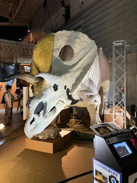 巨大恐竜展2024に投稿された画像（2024/7/21）