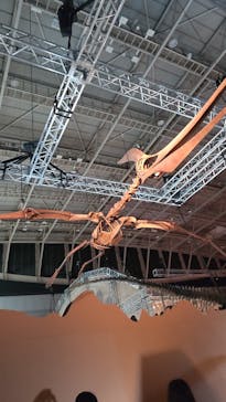 巨大恐竜展2024に投稿された画像（2024/7/21）