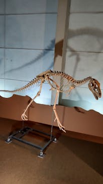 巨大恐竜展2024に投稿された画像（2024/7/21）