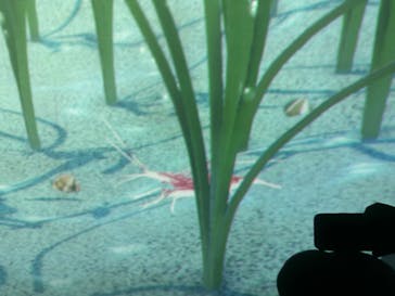 仙台うみの杜水族館に投稿された画像（2024/7/21）