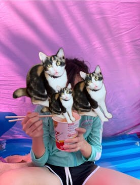 川越水上公園（埼玉県公園緑地協会）に投稿された画像（2024/7/21）