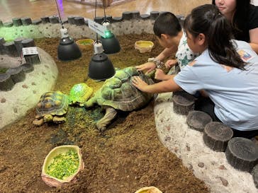 NARA IKIMONO MUSEUMに投稿された画像（2024/7/21）