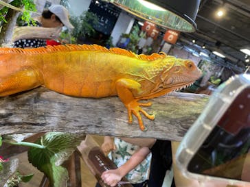 NARA IKIMONO MUSEUMに投稿された画像（2024/7/21）