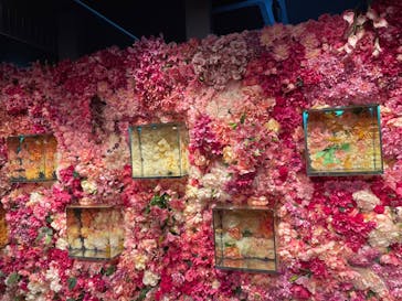 NARA KINGYO MUSEUMに投稿された画像（2024/7/21）