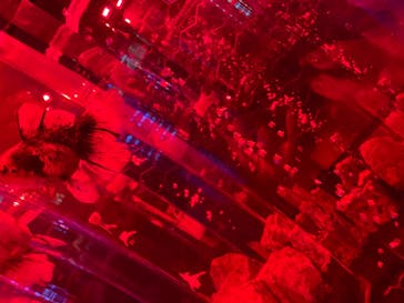 NARA KINGYO MUSEUMに投稿された画像（2024/7/21）