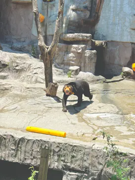 天王寺動物園に投稿された画像（2024/7/21）