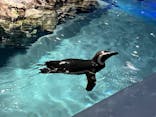 すみだ水族館に投稿された画像（2024/7/21）