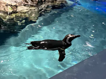 すみだ水族館に投稿された画像（2024/7/21）