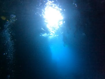 武藤潜水に投稿された画像（2024/7/21）