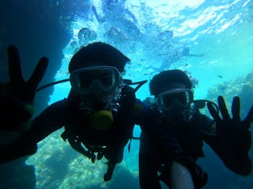 武藤潜水に投稿された画像（2024/7/21）