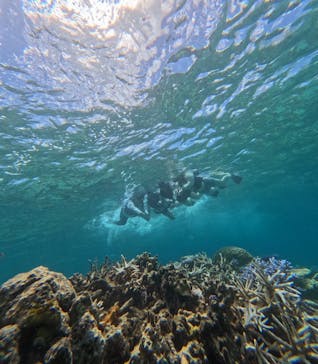 西表島 ADVENTURE PiPi（アドベンチャーピピ）に投稿された画像（2024/7/21）