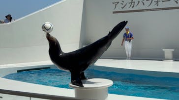 鴨川シーワールドに投稿された画像（2024/7/21）