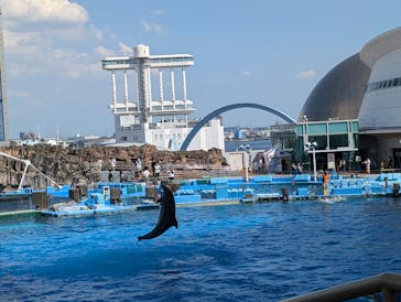 名古屋港水族館に投稿された画像（2024/7/21）