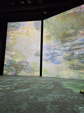 モネ＆フレンズ・アライブに投稿された画像（2024/7/21）