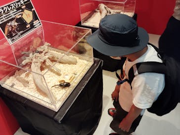 秋田ふるさと村に投稿された画像（2024/7/21）