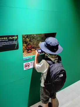 秋田ふるさと村に投稿された画像（2024/7/21）