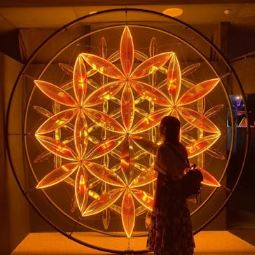 NARA KINGYO MUSEUMに投稿された画像（2024/7/21）