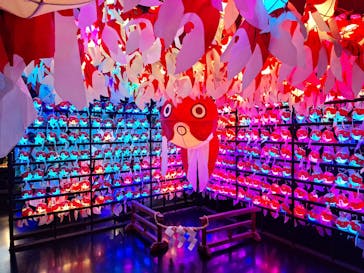 NARA KINGYO MUSEUMに投稿された画像（2024/7/21）