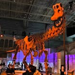 巨大恐竜展2024に投稿された画像（2024/7/21）