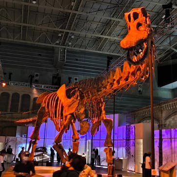 巨大恐竜展2024に投稿された画像（2024/7/21）